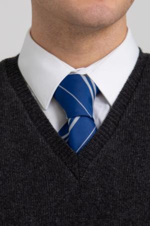 OFFICIAL WARNER BROS. HARRY POTTER RAVENCLAW HOUSE TIE